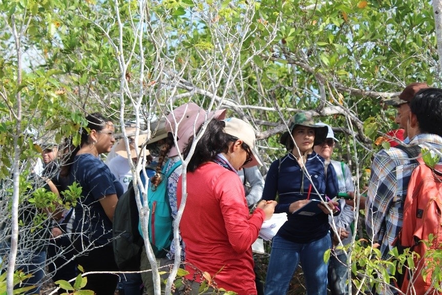 Concluye el XXV Curso-Taller de Manejo y Conservación de los Humedales en México: IBANQROO