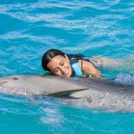 The Dolphin Company anuncia nueva etapa para fortalecer su operación