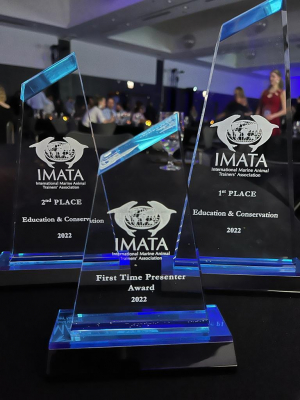 The Dolphin Company obtuvo tres premios en la conferencia anual de la IMATA